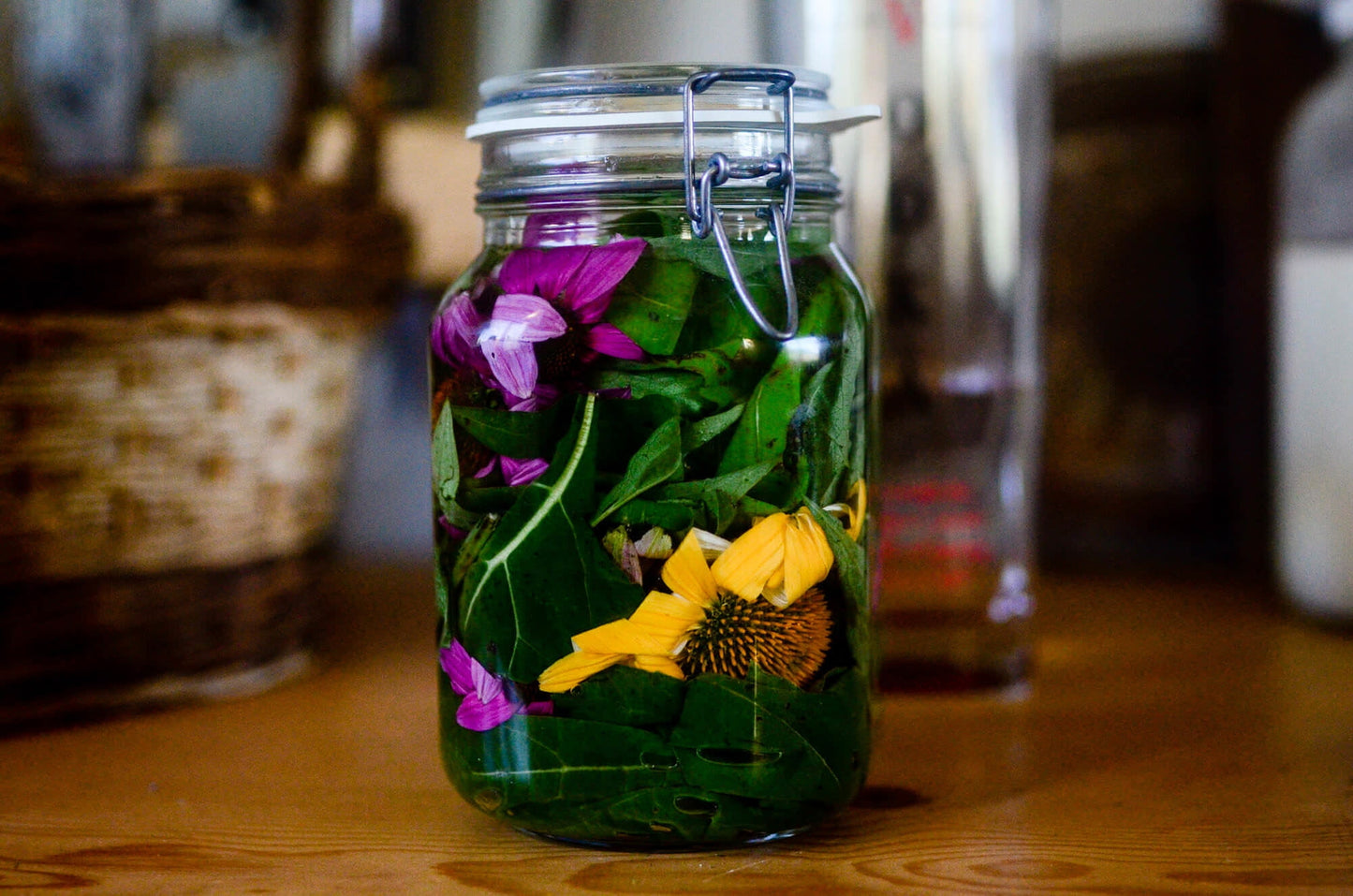 🌿 Herbal Tinctures