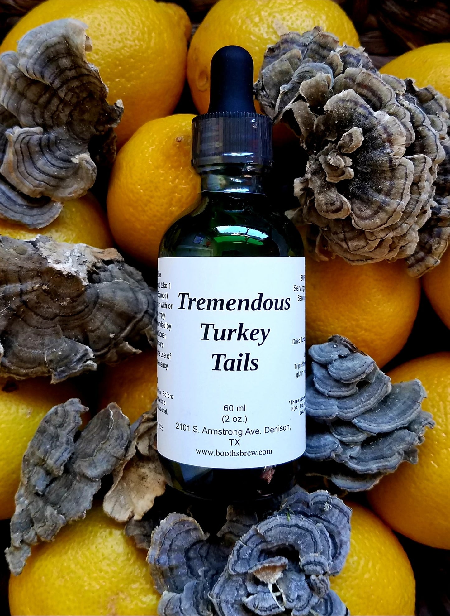🍄 Mushroom Tinctures